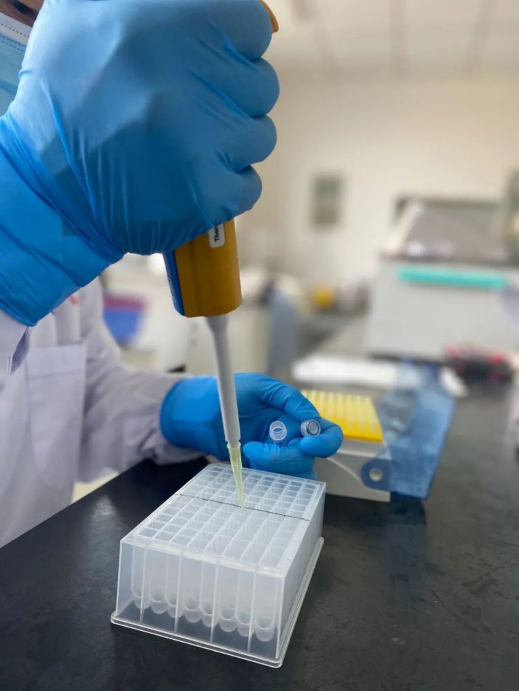 咽拭子漂流记从采集到生成核酸检测结果要几步