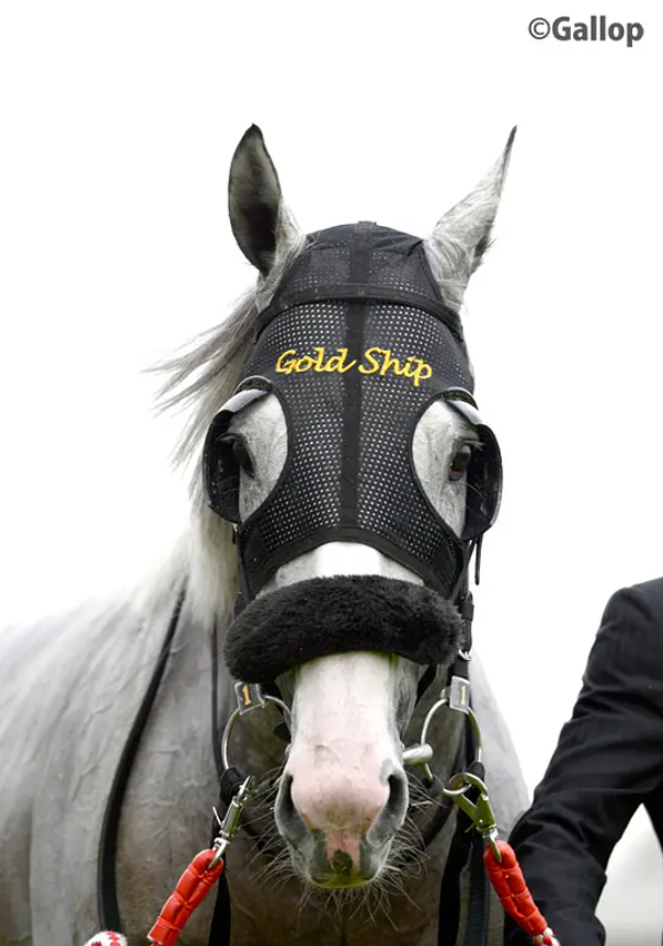 世界最强马中妲己日本一本白马写真力压明星夺得销售榜第三名看完后我