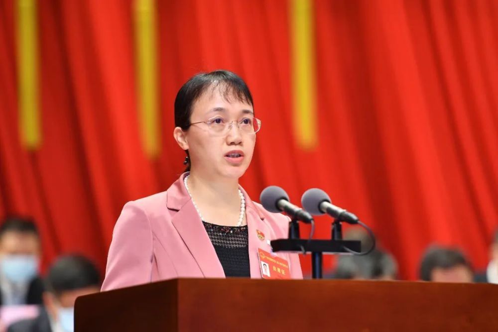 向大会作政府工作报告黄埔区代理区长冼银崧第二届人民代表大会第一次