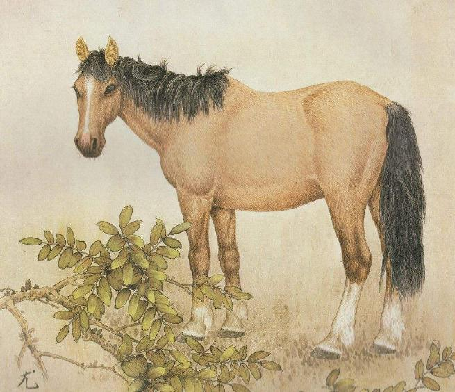 娜迪亚嘉珊冬季生肖运势(娜迪亚嘉珊2020年星座运势)