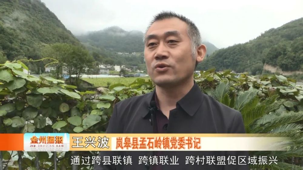 岚皋县孟石岭镇护生态促就业助推高质量发展