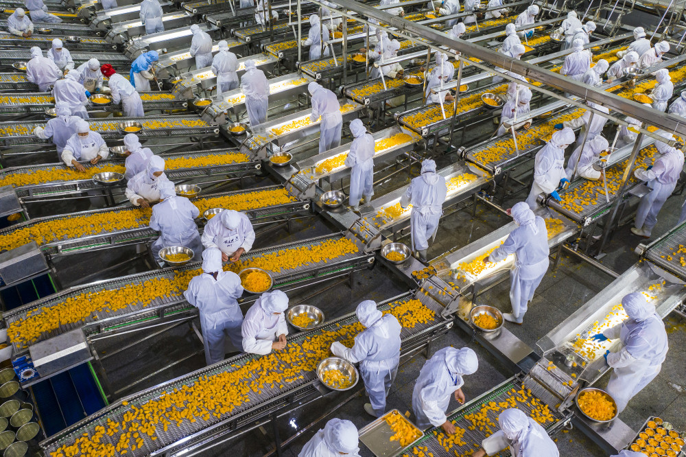 经济湖北秭归柑橘深加工助增收