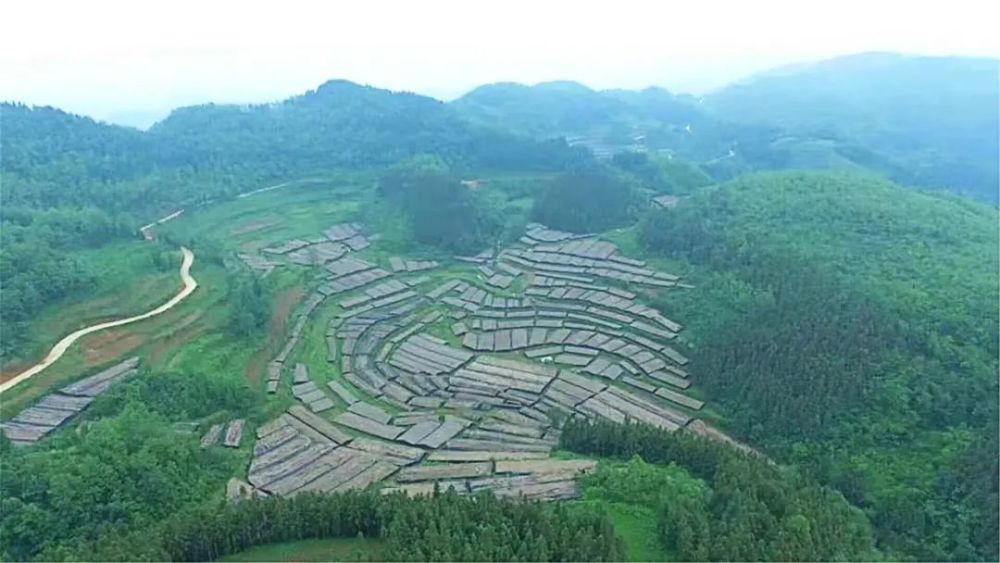 聚焦党代会奋进新征程织金县熊家场镇巩固拓展脱贫成果擦亮乡村振兴