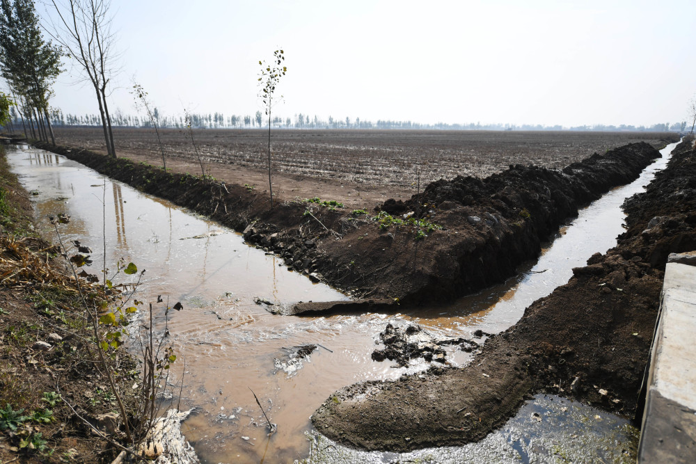 (新华全媒 )排出积水,播下希望——豫北蓄滞洪区抢种进行时