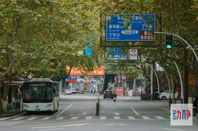 看,遵义添秀桥上的小黄花开了