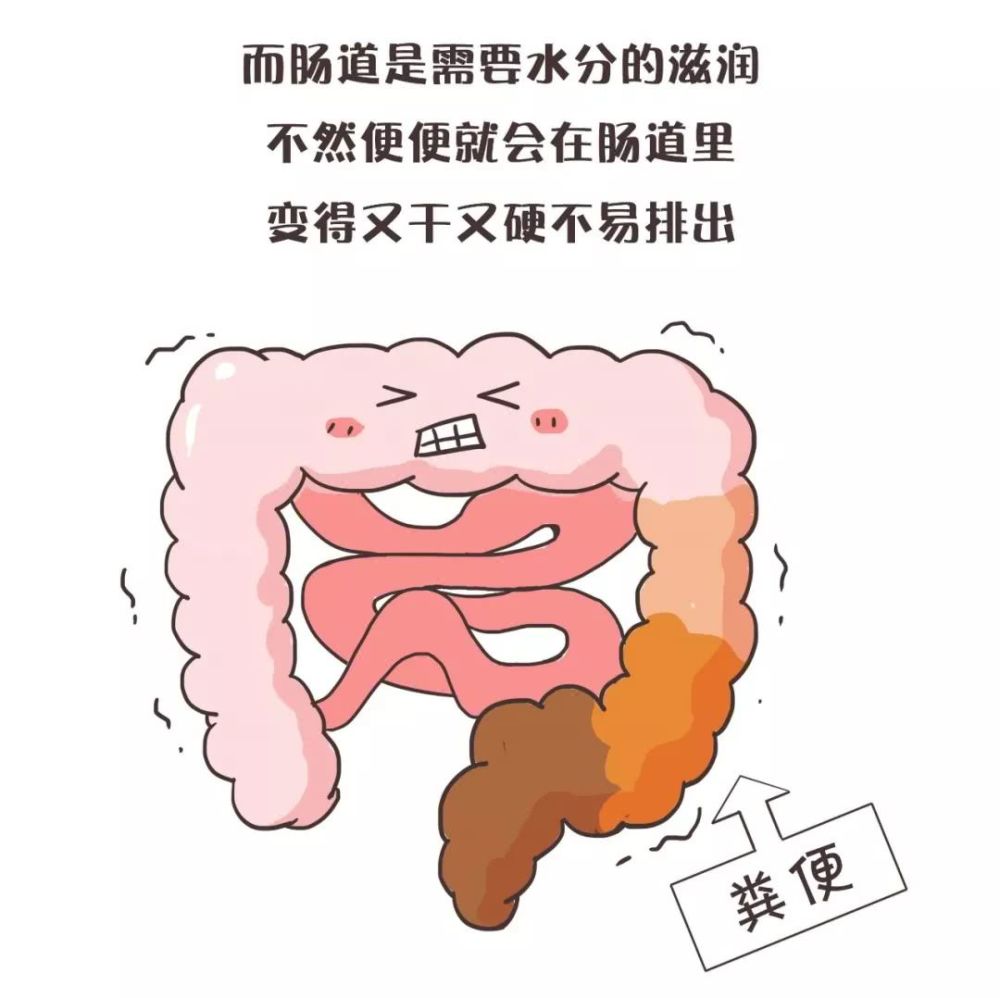 还希望大家能及时改掉上面提到的一些不好的习惯,养成好的排便习惯,肠