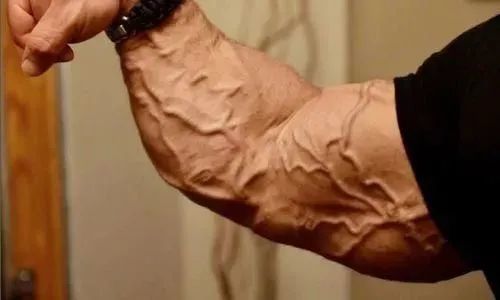 是肌肉与力量的象征身上凸起的青筋有没有人觉得