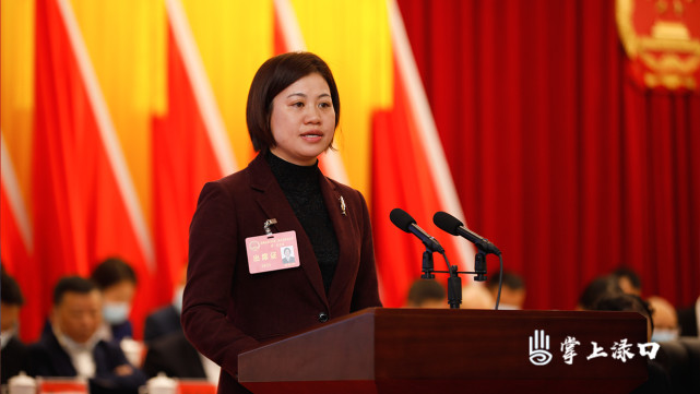 株洲市渌口区第二届人民代表大会第一次会议隆重开幕