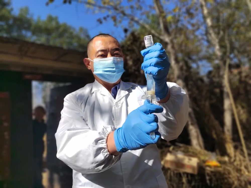 中国兽医日畜牧兽医人的一天致敬每一位兽医工作者