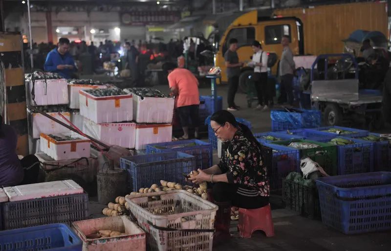 03菜价或在一周内逐渐回落"26日从广州江南果菜批发市场购入约4吨的