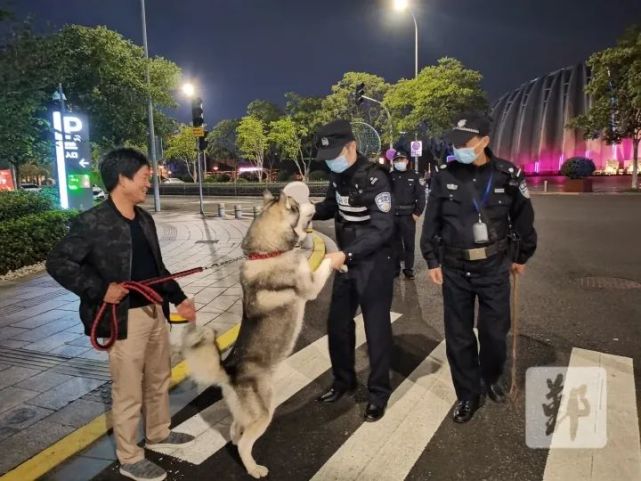 《寧波市養犬管理條例》於去年6月1日起施行,有法可依之後,我區