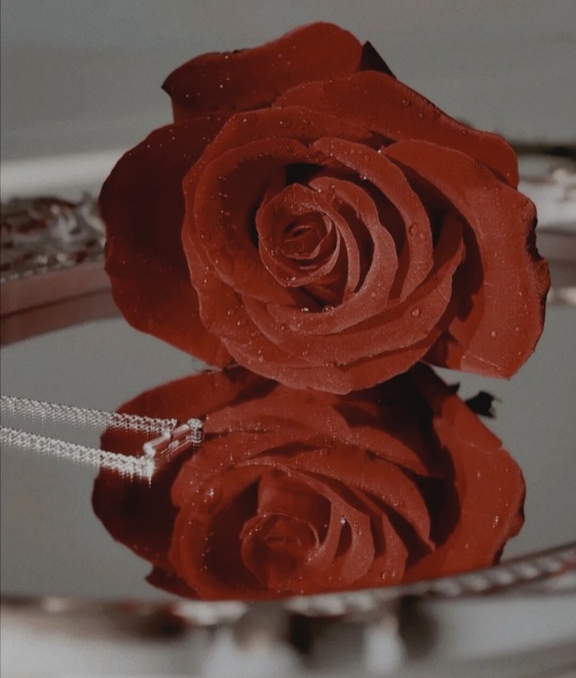 复古风红玫瑰图片"玫瑰终会枯萎,但属于他的浪漫至死不渝"