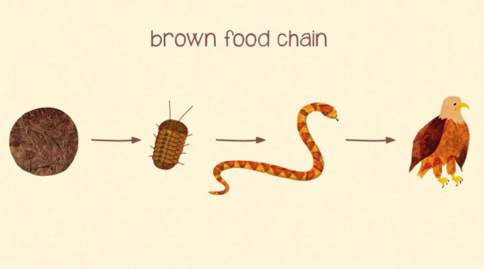 被一个家长骂下了台,直接关机走人了……第二节课讲食物链