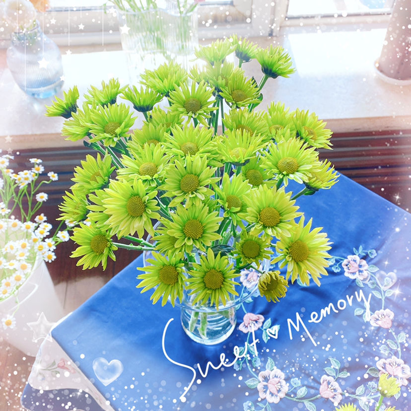 今日12星座好运花 运势 和花更配哦 你的幸运花是哪种 腾讯新闻