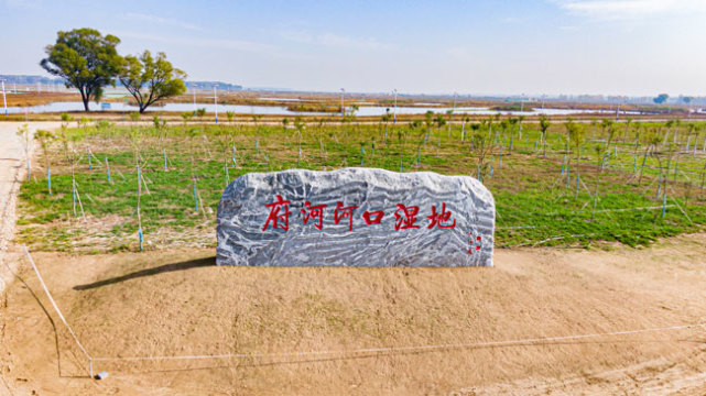 府河河口湿地水质净化工程_腾讯新闻