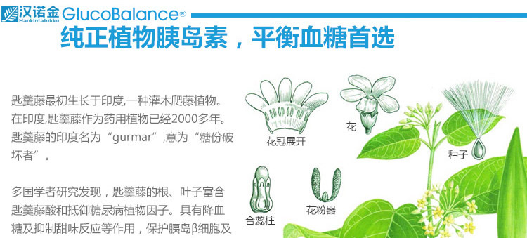 口服植物胰岛素可以降血糖