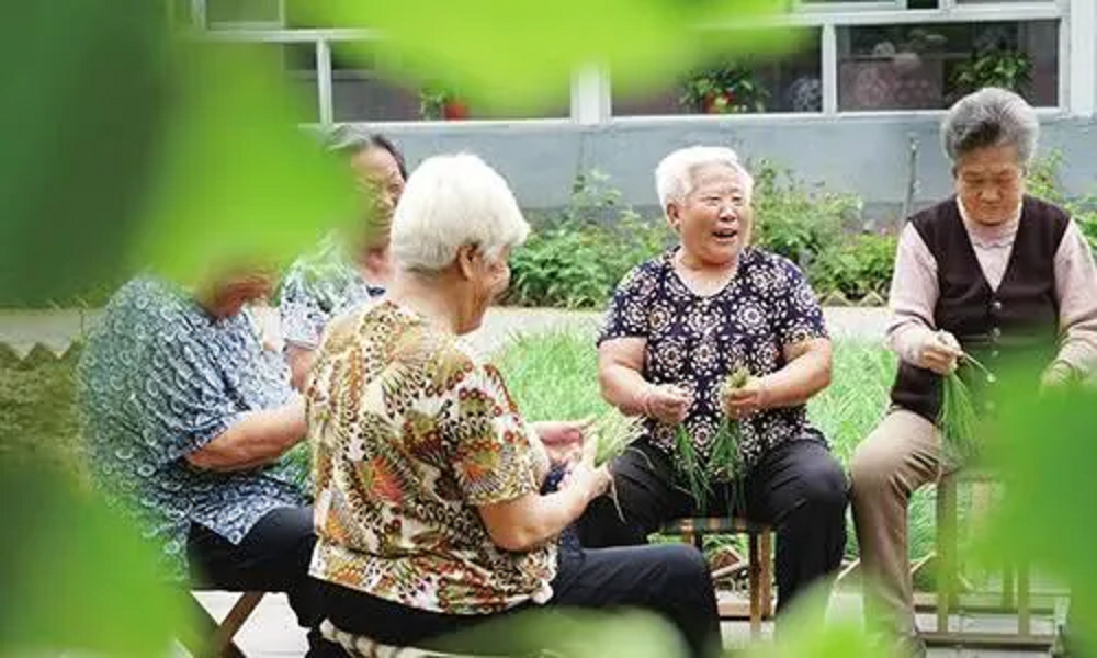 4位老姐妹抱團養老租農村別墅3年花10萬裝修不滿1年散夥