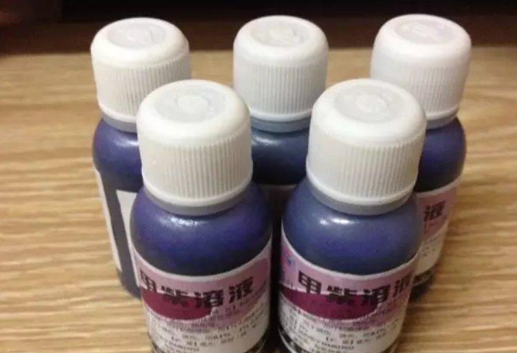 紫药水养花注意事项,你全弄懂了吗?甭踩坑_腾讯新闻