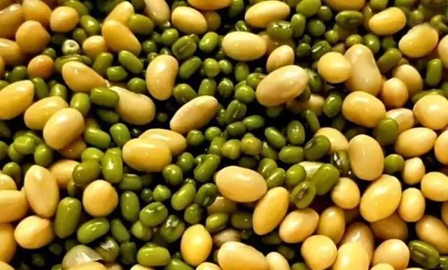 黄豆和绿豆是绝配上锅一蒸香软又营养我家一周至少做3回