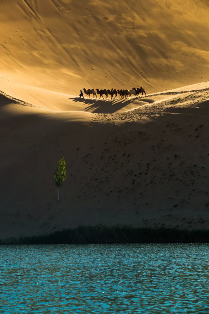 额济纳含泪封园,看哭上亿网友:我们欠你一张门票