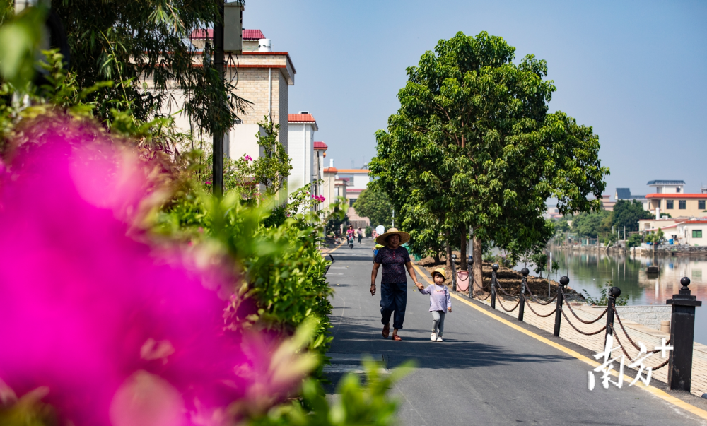 破译乡村振兴的斗门密码丨最具人气的婚旅地,南澳必须拥有姓名!