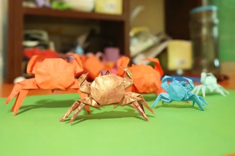 记得收藏奉贤一宝中国折纸大王在线手把手教你折纸