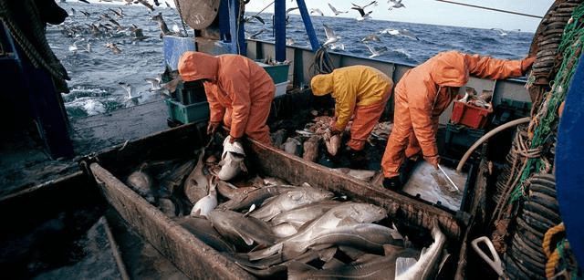 三个国家拥有世界级大渔场渔业资源丰富