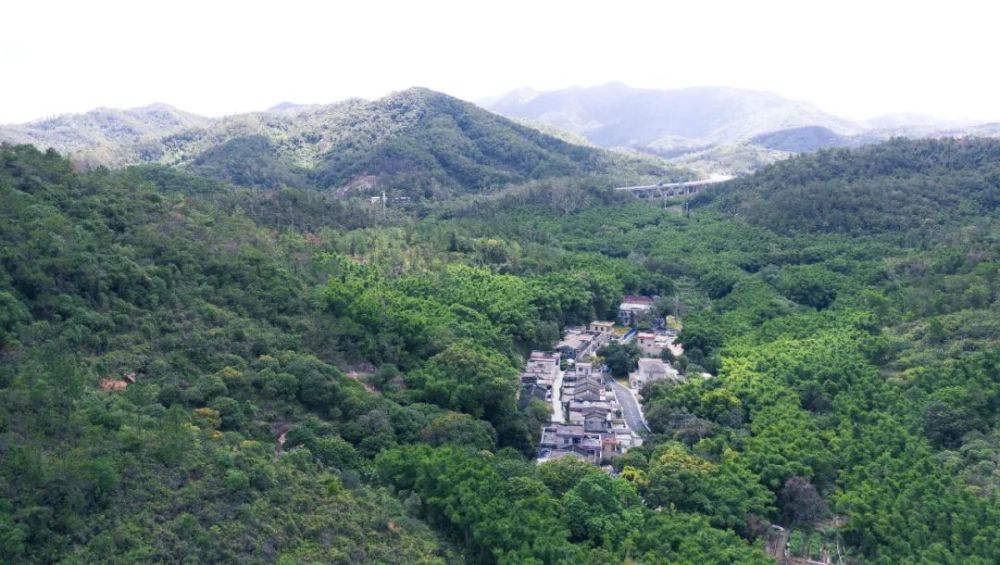 去乡野趣乡野中山五桂山和平村