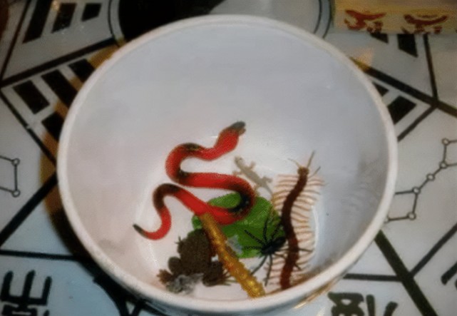 让虫子互相咬杀吞食,最后活下来的虫子便是蛊