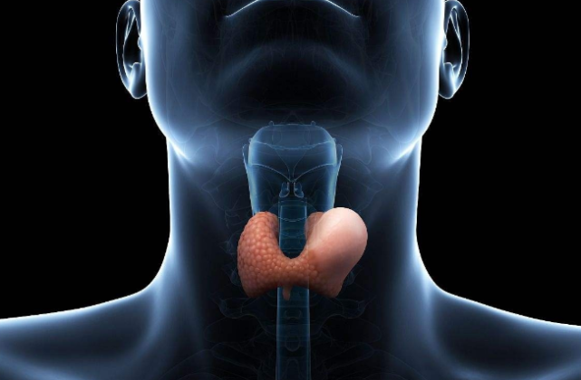 肿胀,本想着是一般的上火,结果到医院检查以后,竟然发现是甲状腺结节