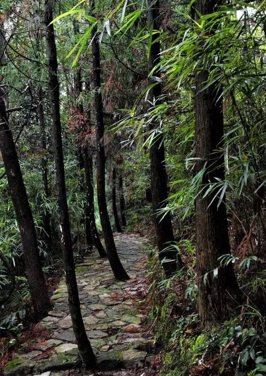 莆田 瀑布,奇石,天然氧吧,大洋有个隐于深山灯炉寨景区