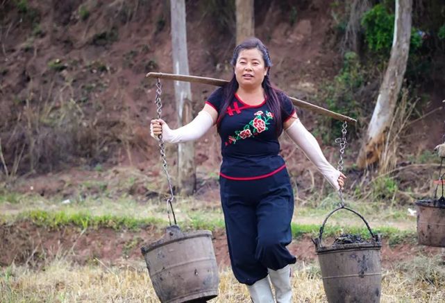 作者:張開亮她就是趙建花,一心當好農民種好地,只為健康種好米.