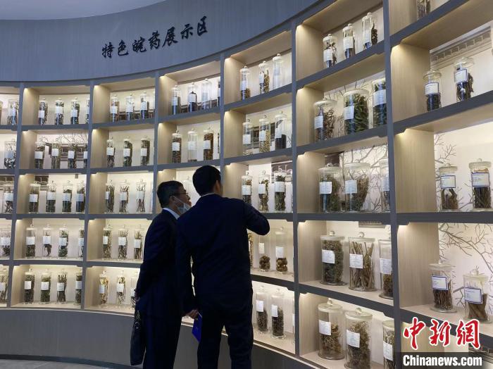 安徽一中药标本馆揭牌 展出中药标本近千个