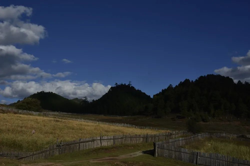 怒江蘭坪富和山景區醉人秋景等你來