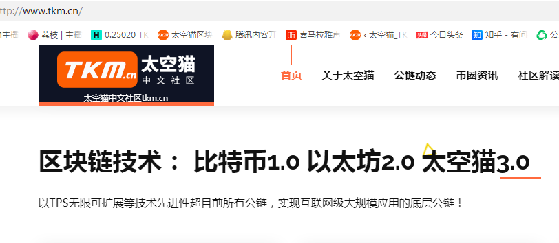 10太空猫以9大技术创新超越比特币以太坊等公链实现区块链应用落地