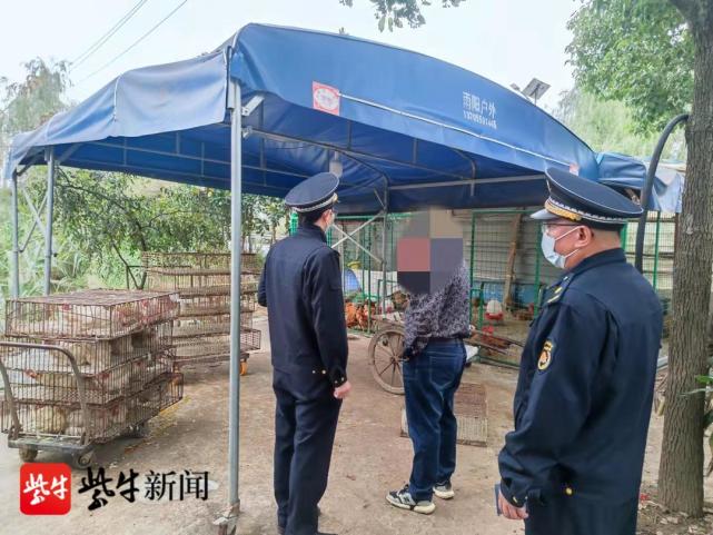 乡道旁藏着活禽宰杀销售点，执法部门依法取缔_腾讯新闻