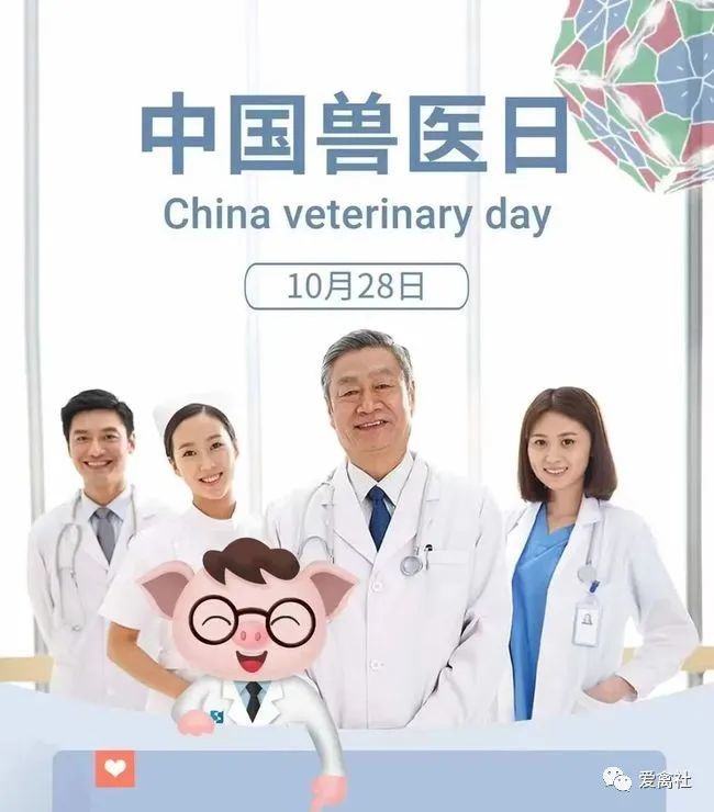 中国兽医日丨向中国兽医致敬