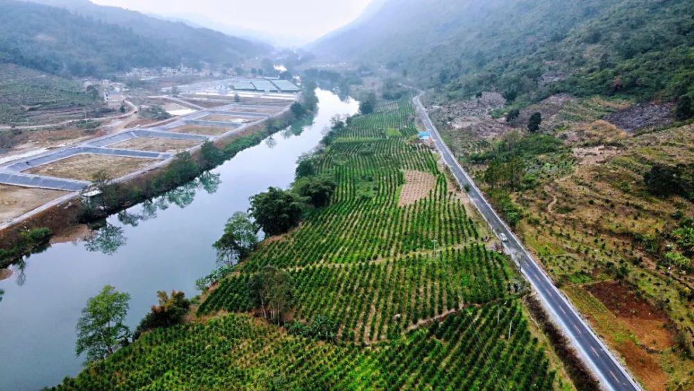 关岭断桥镇:全力构建乡村振兴产业示范带_腾讯新闻