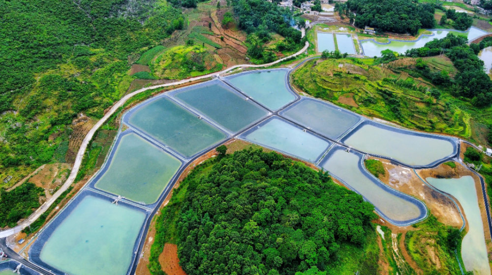 关岭断桥镇:全力构建乡村振兴产业示范带_腾讯新闻