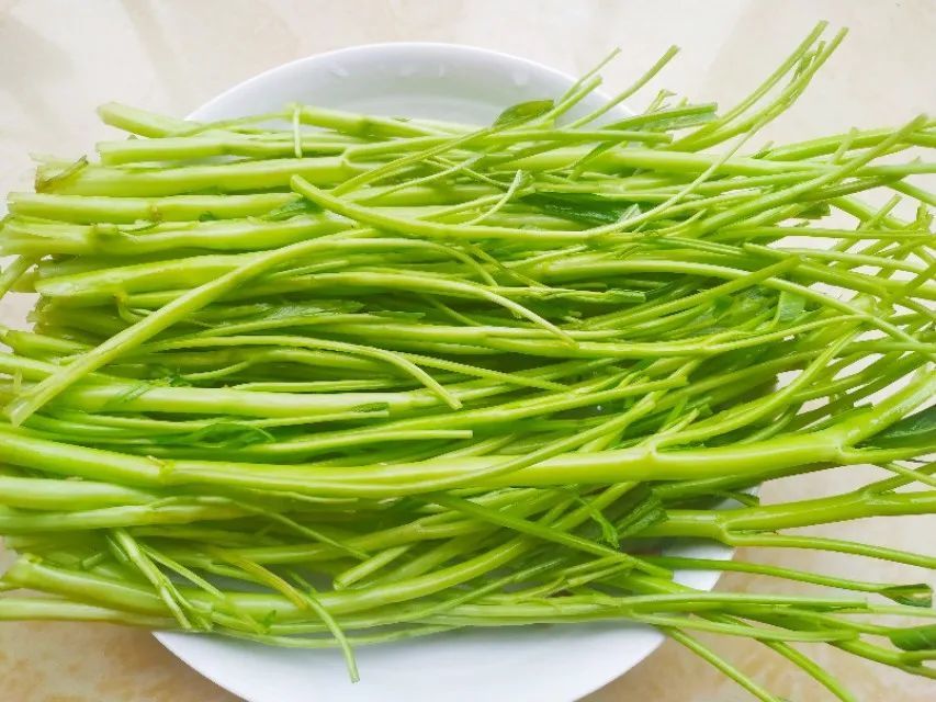 学会这2个窍门,空心菜翠绿鲜美_腾讯新闻