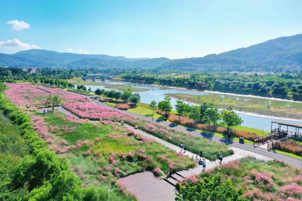 先后建成了以夜色闻名的荷塘月色公园;保护银叶树的银叶树湿地园;依山