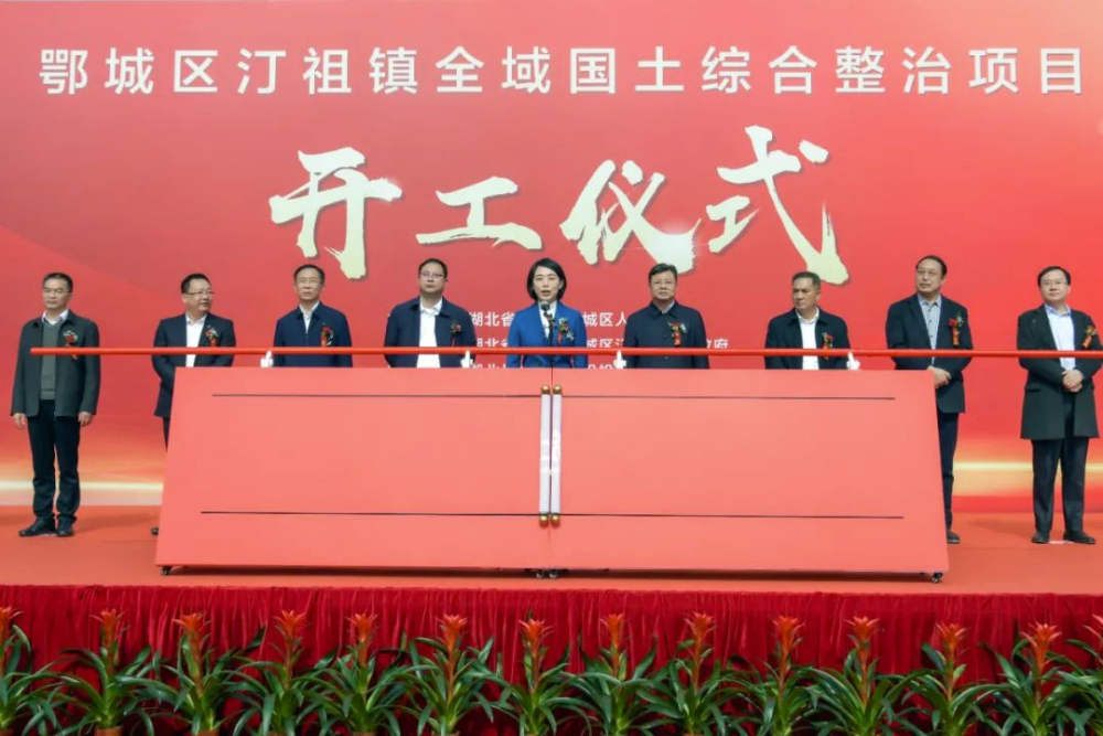 鄂城区汀祖镇将迎来大发展,全域国土综合整治开始