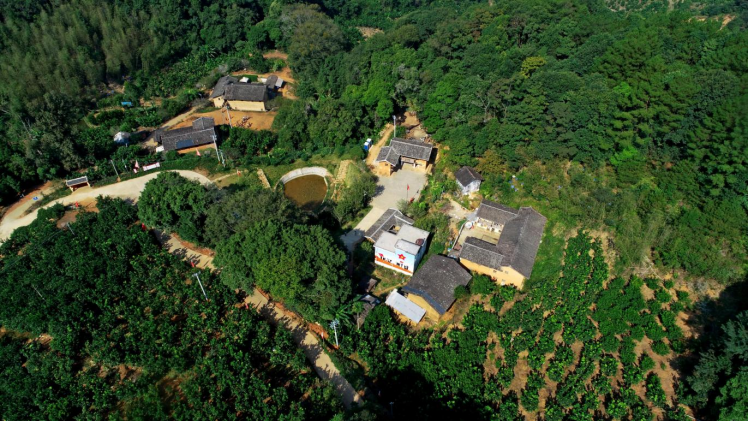 绝密使命这条鲜为人知的红色交通线为何被称作苏维埃的血脉