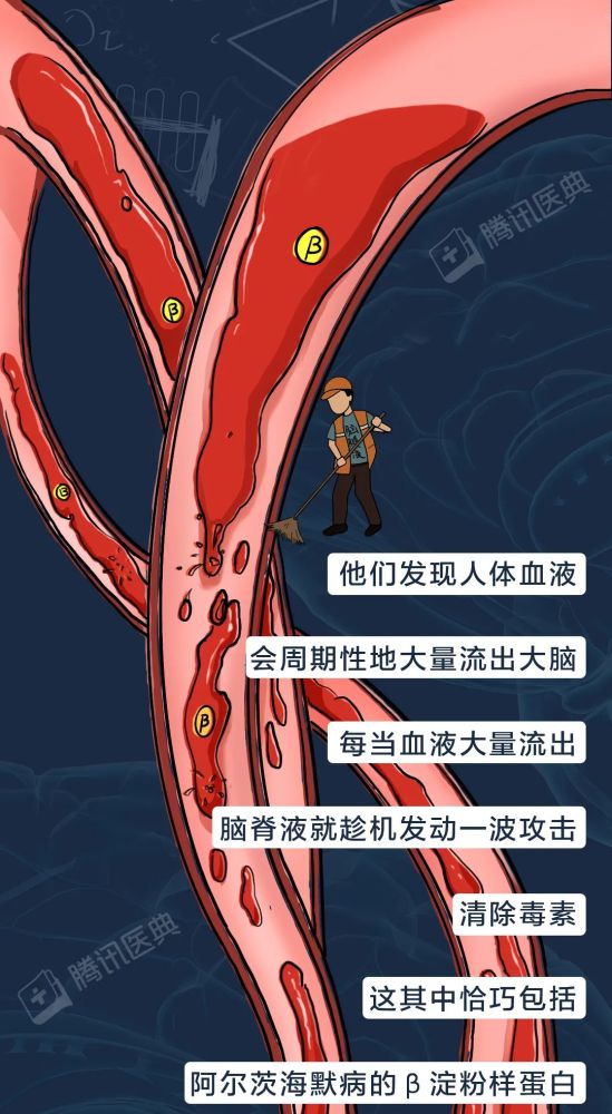 八年级上册音乐苏少版电子版阳性仍需背着基因睡着保障初一地理上册