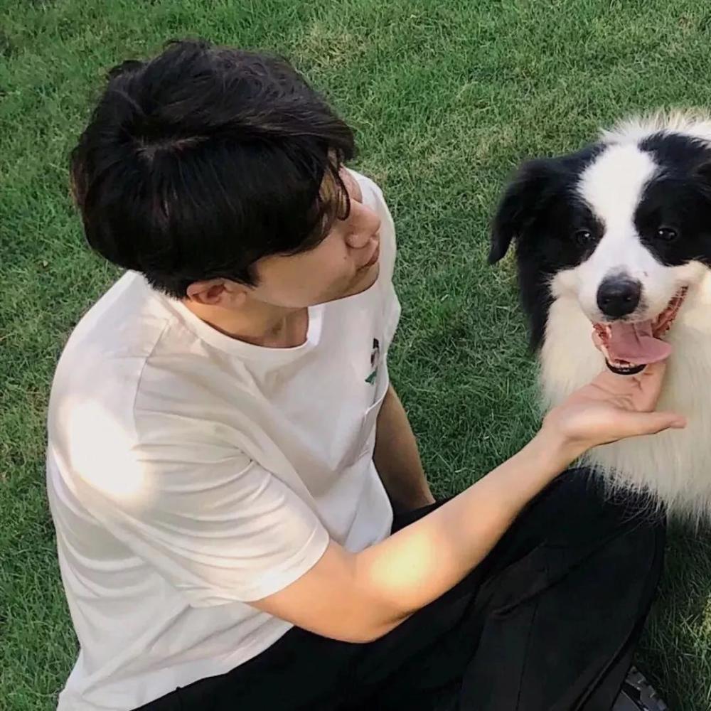 可爱的一人一狗情侣头像_腾讯新闻