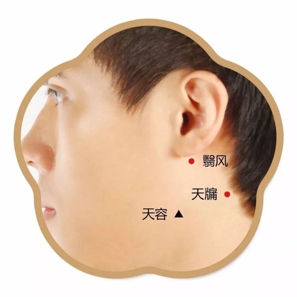 世界艾乡资讯-翳风穴|头面部穴位-艾灸资讯-世界艾乡官方网站