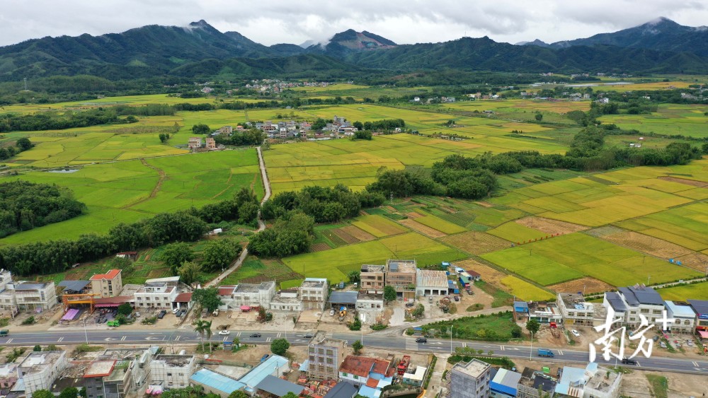依托省级园区,龙门龙田培育新业态推进产业融合