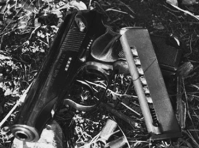 杀害谭甫仁中将的凶手饮弹毙命为何82天后保卫部部长选择自缢