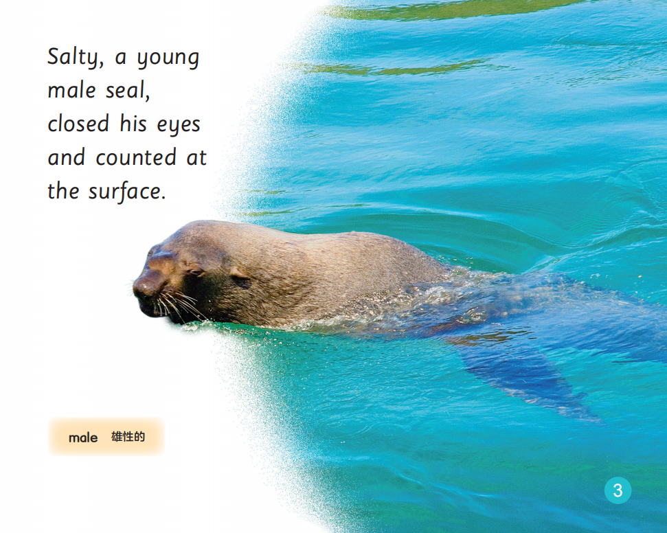 【中阅院专项课题指定用书】英语 科学故事阅读——海豹捉迷藏