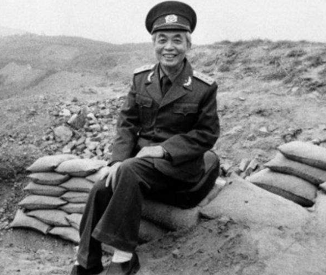 身为亲华派的武元甲没能进入越南"三人小组",越南的党政军被以黎笋